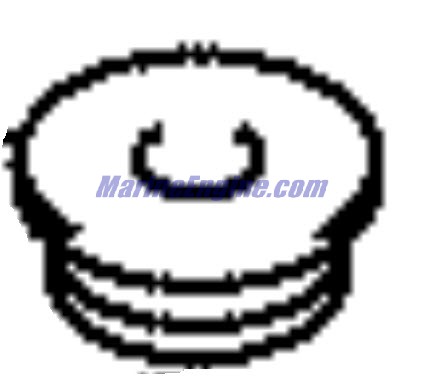 Evinrude Johnson OMC 5031881 - Plug
