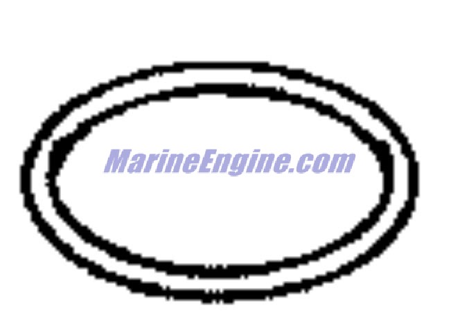 Evinrude Johnson OMC Evinrude Johnson OMC OMC5031887
5031887