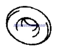Evinrude Johnson OMC 5031958 - Ret, Velve Spring