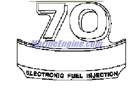 Evinrude Johnson OMC Evinrude Johnson OMC OMC5032523
5032523
