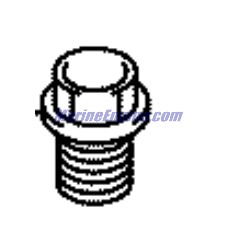 Evinrude Johnson OMC 5034821 - Delivery Pipe Plug