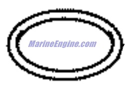Evinrude Johnson OMC 5034828 - O-Ring, IAC Valve