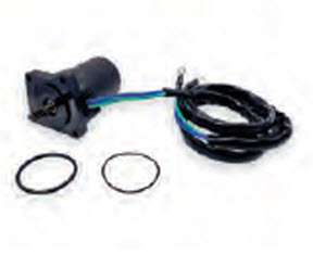 Recmar Marine PAT40-10020500 - TRIM MOTOR (PAT40-10020500)