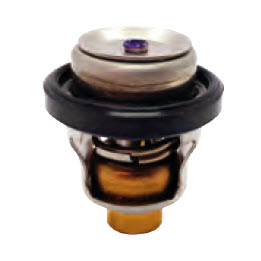 Recmar Marine REC17670-87J00 - THERMOSTAT 72DGC (REC17670-87J00)