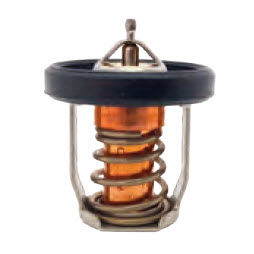 Recmar Marine REC17670-91J01 - THERMOSTAT 50DGC (REC17670-91J01)