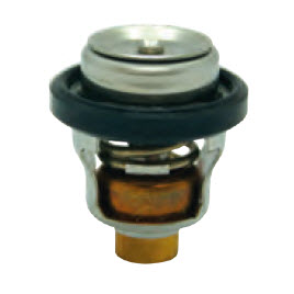 Recmar Marine REC17670-94402 - THERMOSTAT 60:C
