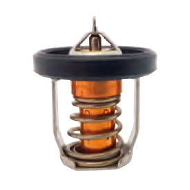 Recmar Marine REC17670-94J01 - THERMOSTAT 60:C