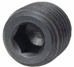 Sierra Marine 18-4257 - Plug, 1/4 Blacksteel