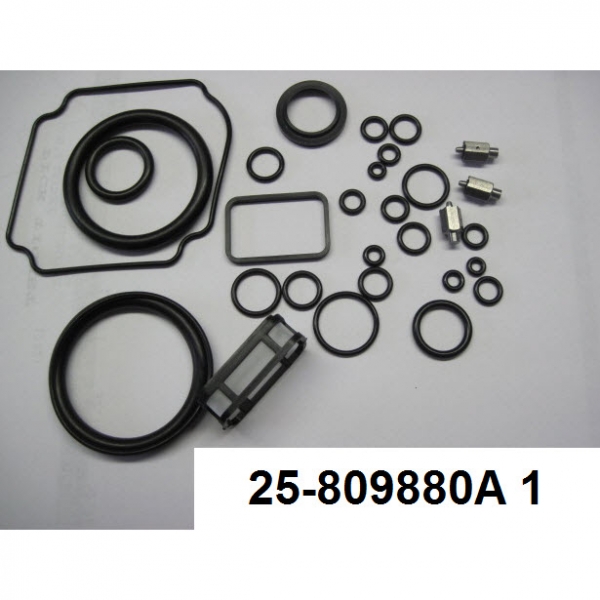 Mercury Quicksilver 25-809880A 1 - O-RING KIT
- Replaced by
25-893914A02