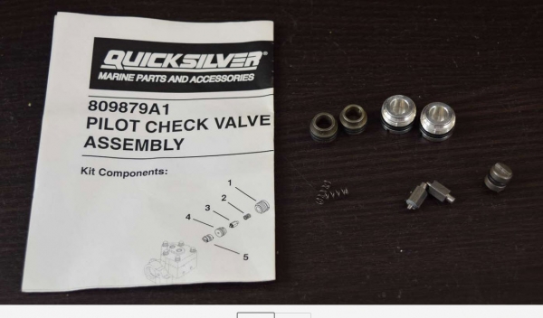 Mercury Quicksilver 809879A 1 - POPPET KIT       
 - Replaced by -893913A02