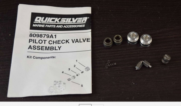 Mercury Quicksilver 809879A 1 - POPPET KIT
- Replaced by -893913A02