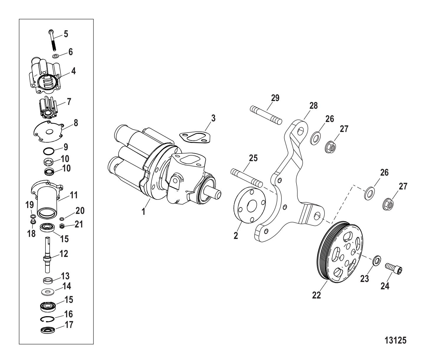 Sea Water Pump Assembly