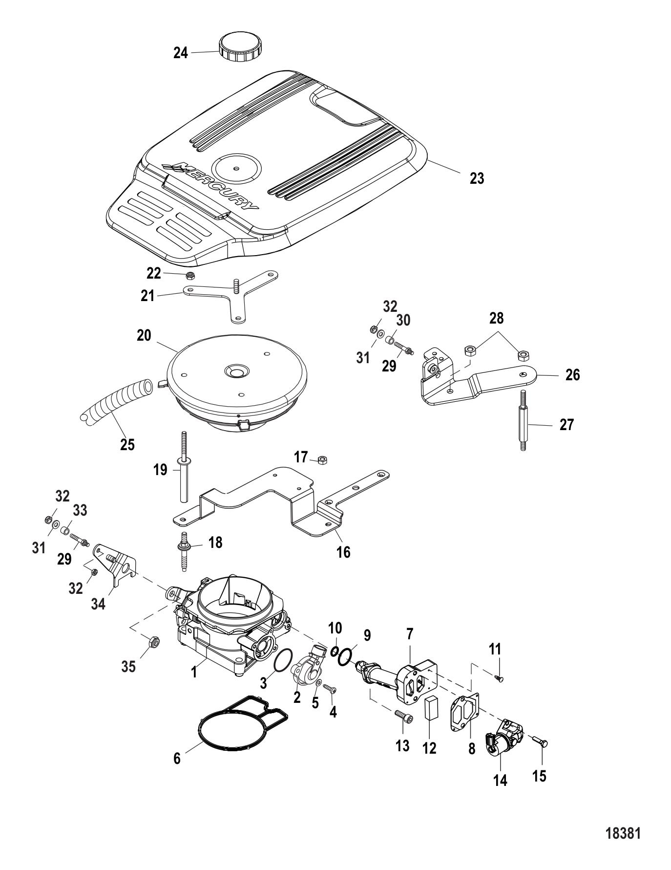 Throttle Body Mechanical