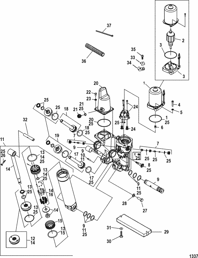 Mercury Marine 250 Hp Pro Xs  3 0l Dfi  Power Trim