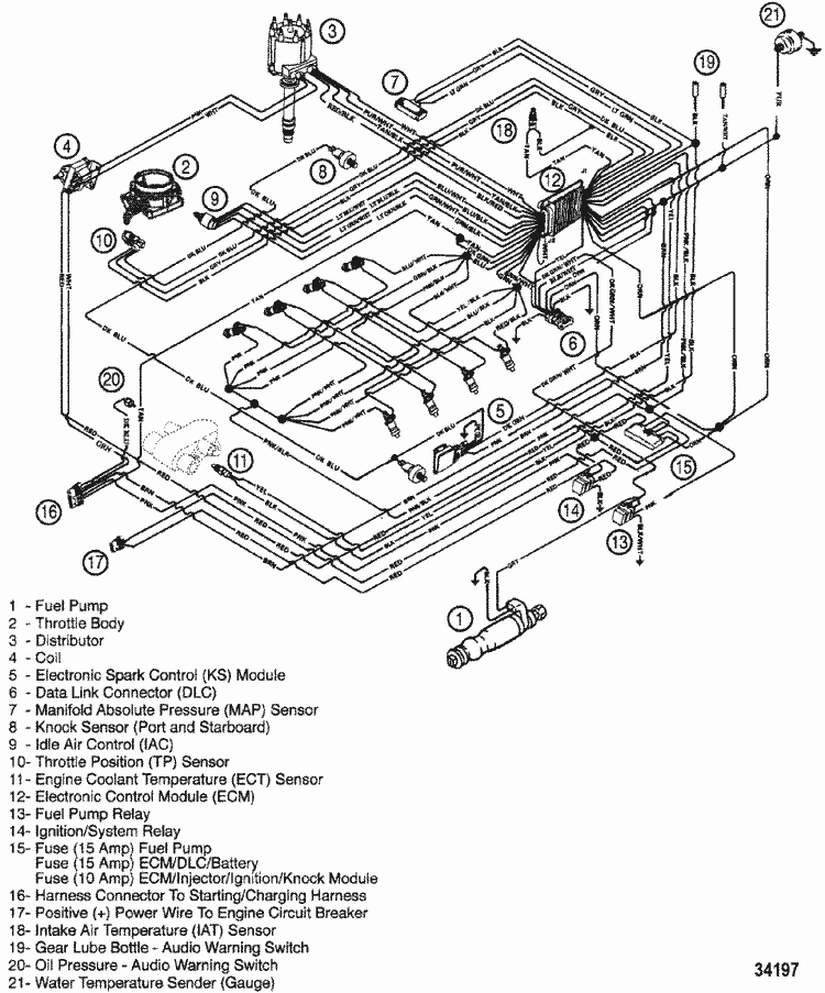 Mercruiser 454 Wiring Diagram