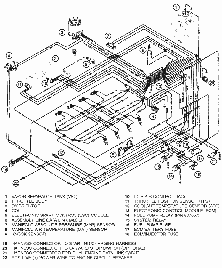 Esc Module Gm Wiring Harnes - Wiring Diagrams