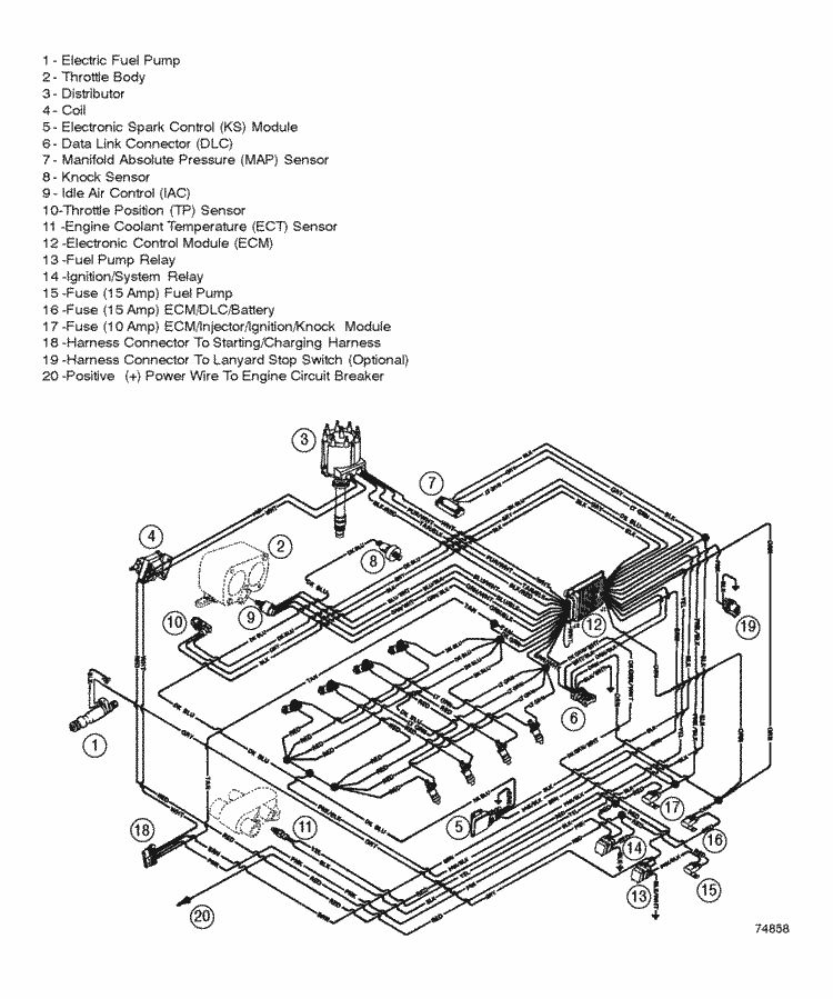 Scorpion Wiring Diagram - Complete Wiring Schemas