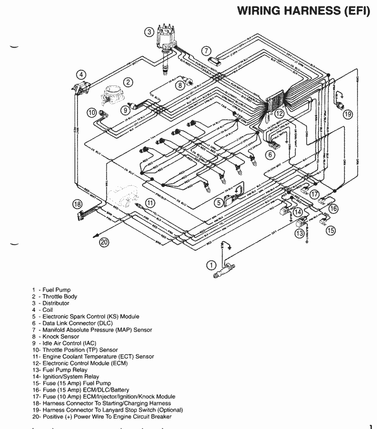 Mercruiser Black Scorpion Wiring Diagram - Wiring Diagram