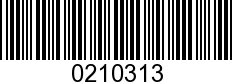 0210313 - DECAL