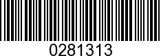 0281313 - L/P   53.10