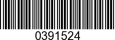 0391524 - L/P   12.07