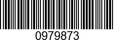 0979873 - L/P   21.09