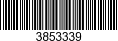 3853339 - BOLT