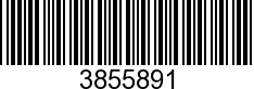3855891 - SEE BOSSWEB