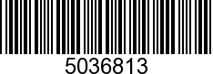 5036813 - BOLT STUD