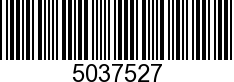 5037527 - SCREW