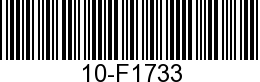 10852453 10-F1733