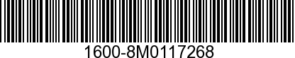 1600-8M0117268 - GC VER XXL SILVER