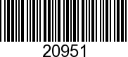 20951 - CO-PILOT           NLA