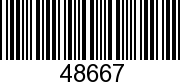 48667 - PILOT              NLA