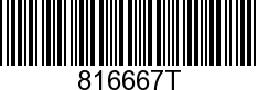 816667T - BRACKET            - Replaced by -816667F3