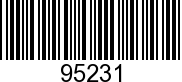 95231 - PLATE              NLA