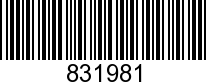VOL831981 - DECAL