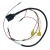 CDI413-9915 - Evinrude Harness