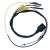 CDI413-9918 - Evinrude Harness