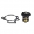 T-STAT & GASKET KIT 75-75520