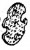 0205017 - SILENCER PAD