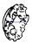 0913519 - BRUSH HOLDER