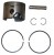 5006689 - PISTON & RING KIT