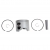 PISTON&RING AY-STD 5008423