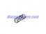 5033396 - SPRING