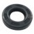 OIL SEAL