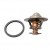 THERMOSTAT KIT