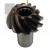 PINION