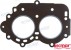 CYLINDERHEAD GASKET (REC6E7-11181-00)