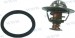 THERMOSTAT KIT